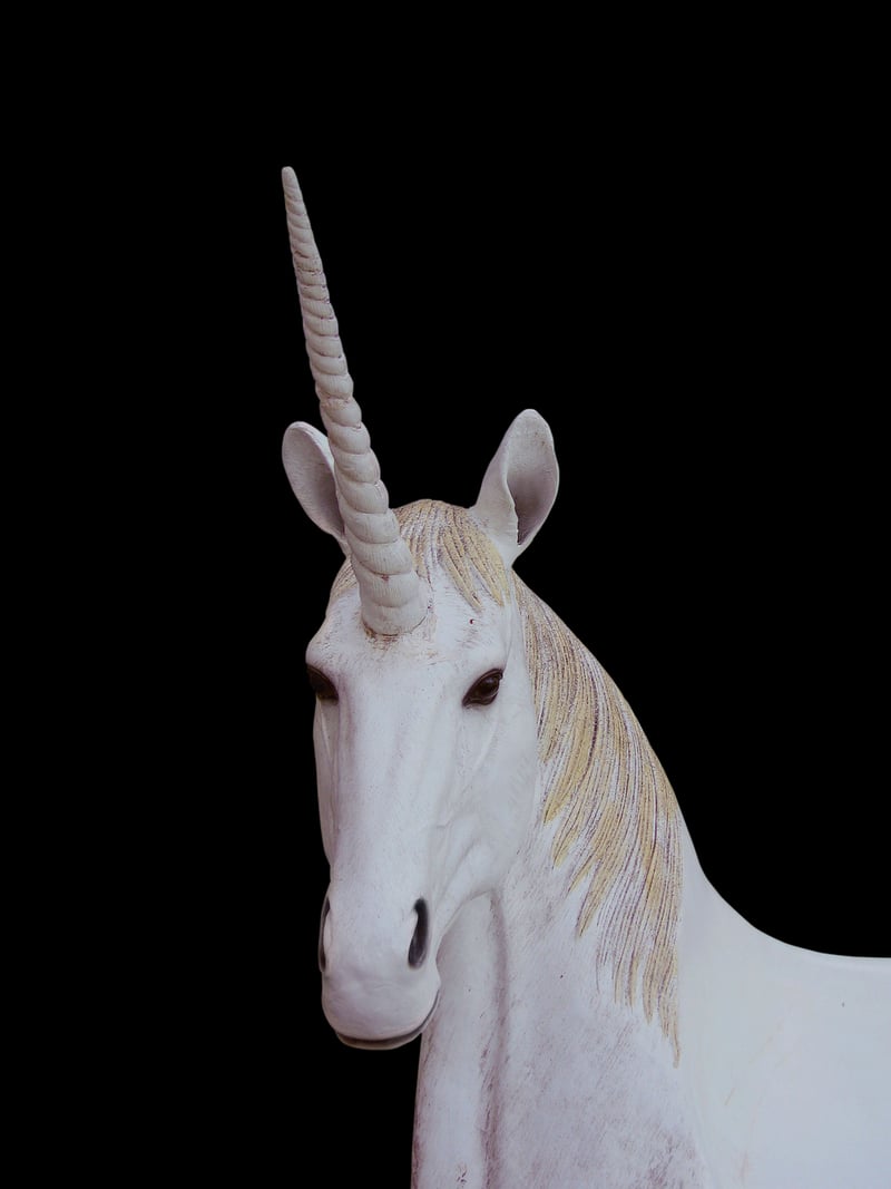 Roasted Unicorn Tenderloin